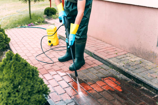 Best Residential Pressure Washing Services  in La Villa, TX
