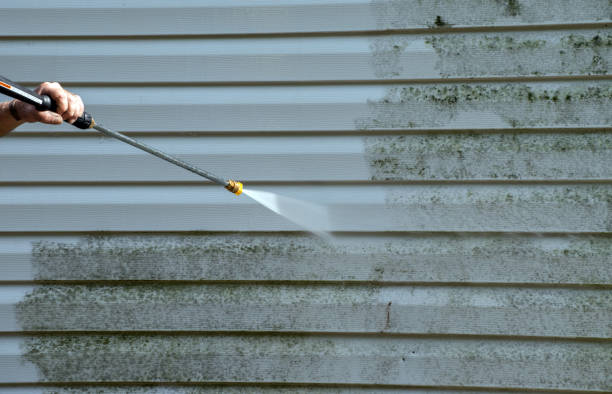 Best Pressure Washing Estimates  in La Villa, TX