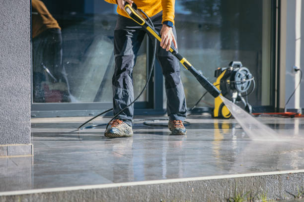 Best Roof Power Washing Services  in La Villa, TX