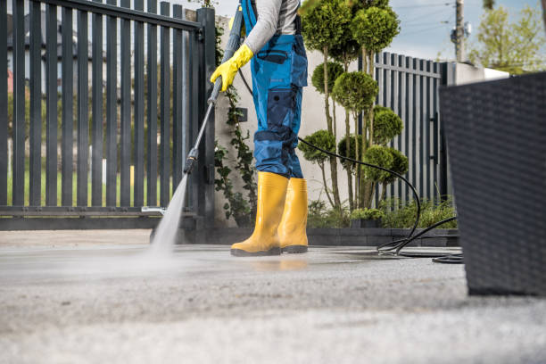 Best Exterior Home Cleaning  in La Villa, TX