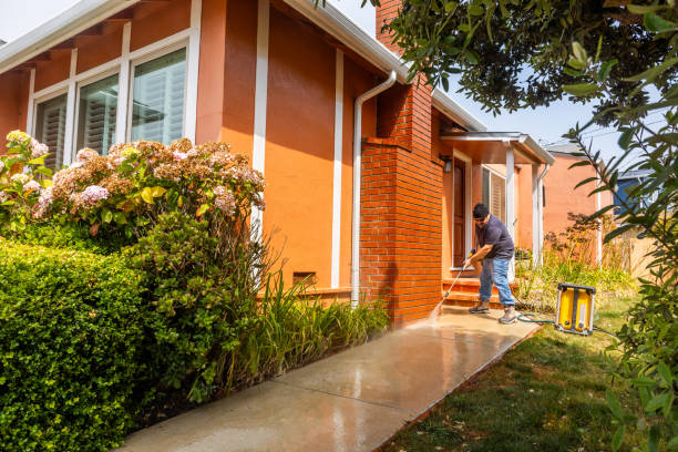 Best Exterior Home Cleaning  in La Villa, TX