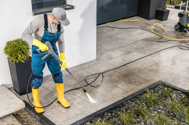 Best Deck Cleaning Services  in La Villa, TX