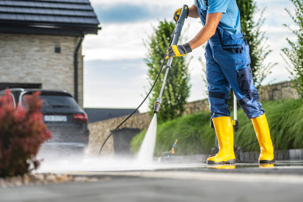 Best Exterior Home Cleaning  in La Villa, TX