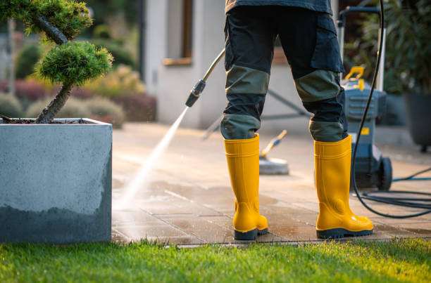 Best Residential Pressure Washing Services  in La Villa, TX